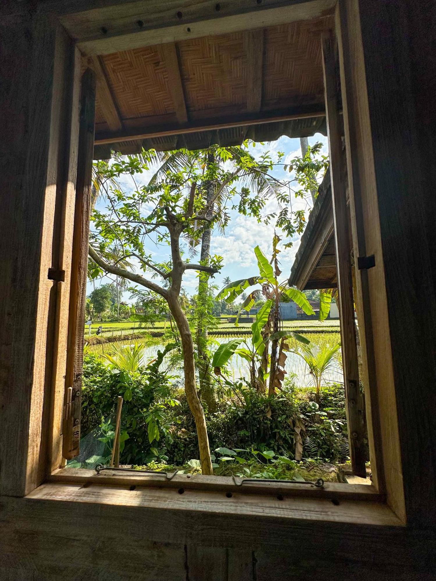 Nunu Bali Eco Friendly Retreat Hotel Canggu Екстериор снимка